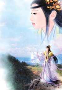 完美至尊林凌
